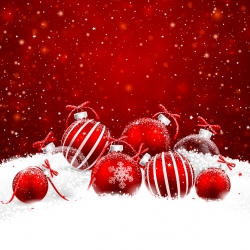Marché de Noël à FERIN (59)