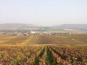 Champagne HARLIN - CHEFFERT - 